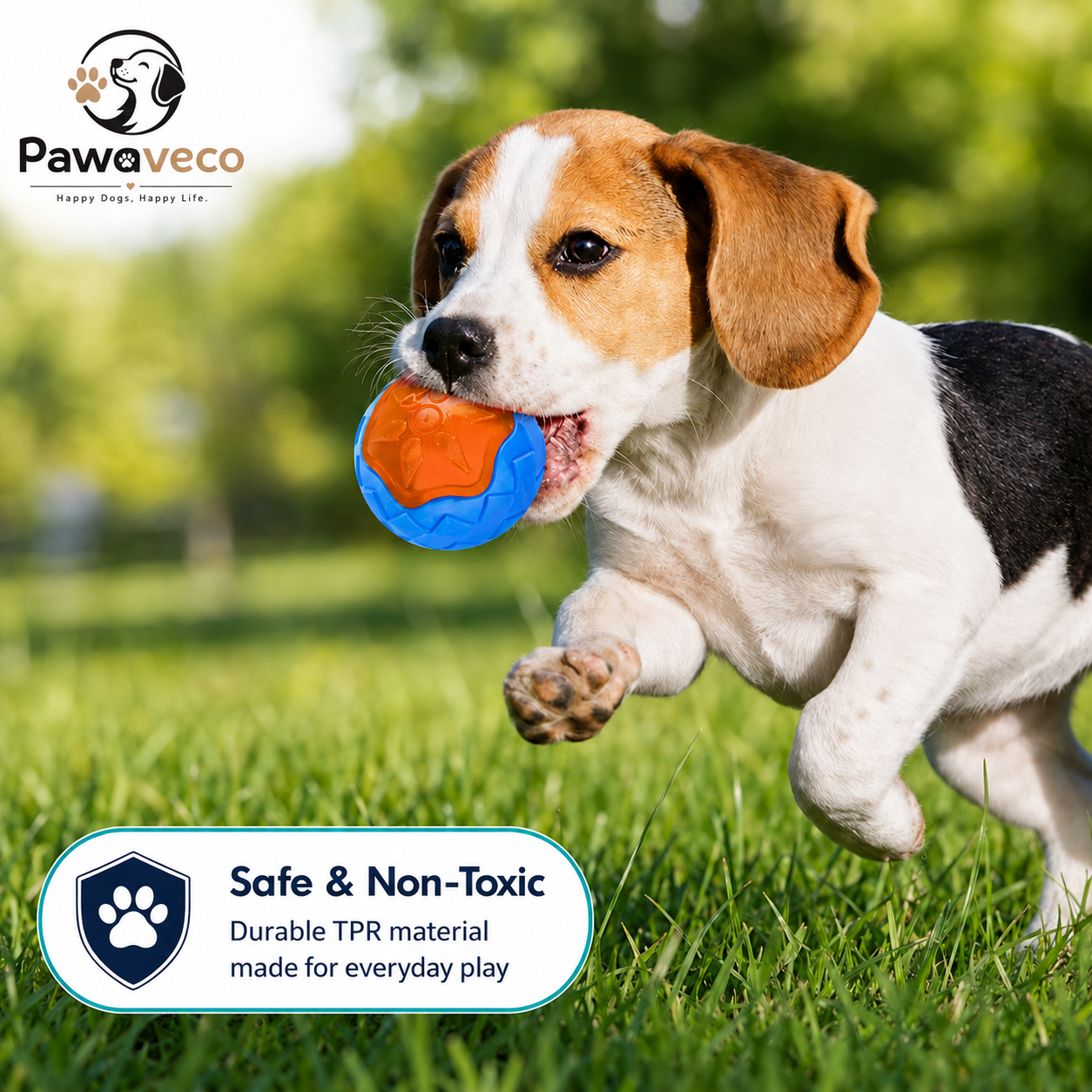 Chew and Play Dog toy